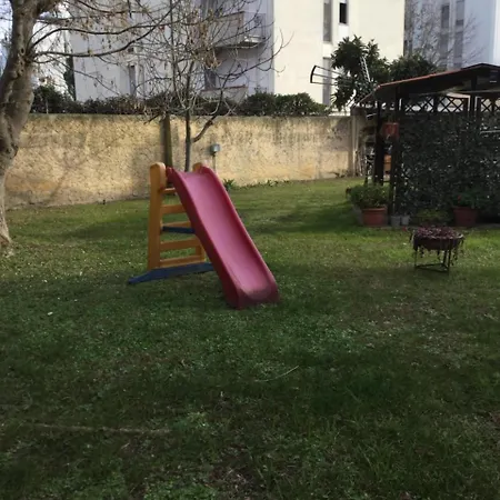Albero Cisanello Piza