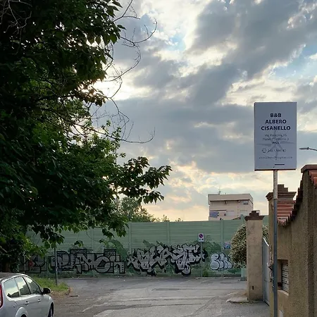 Albero Cisanello Nocleg ze śniadaniem Piza