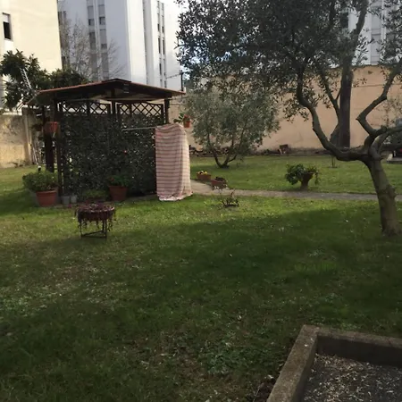 Albero Cisanello